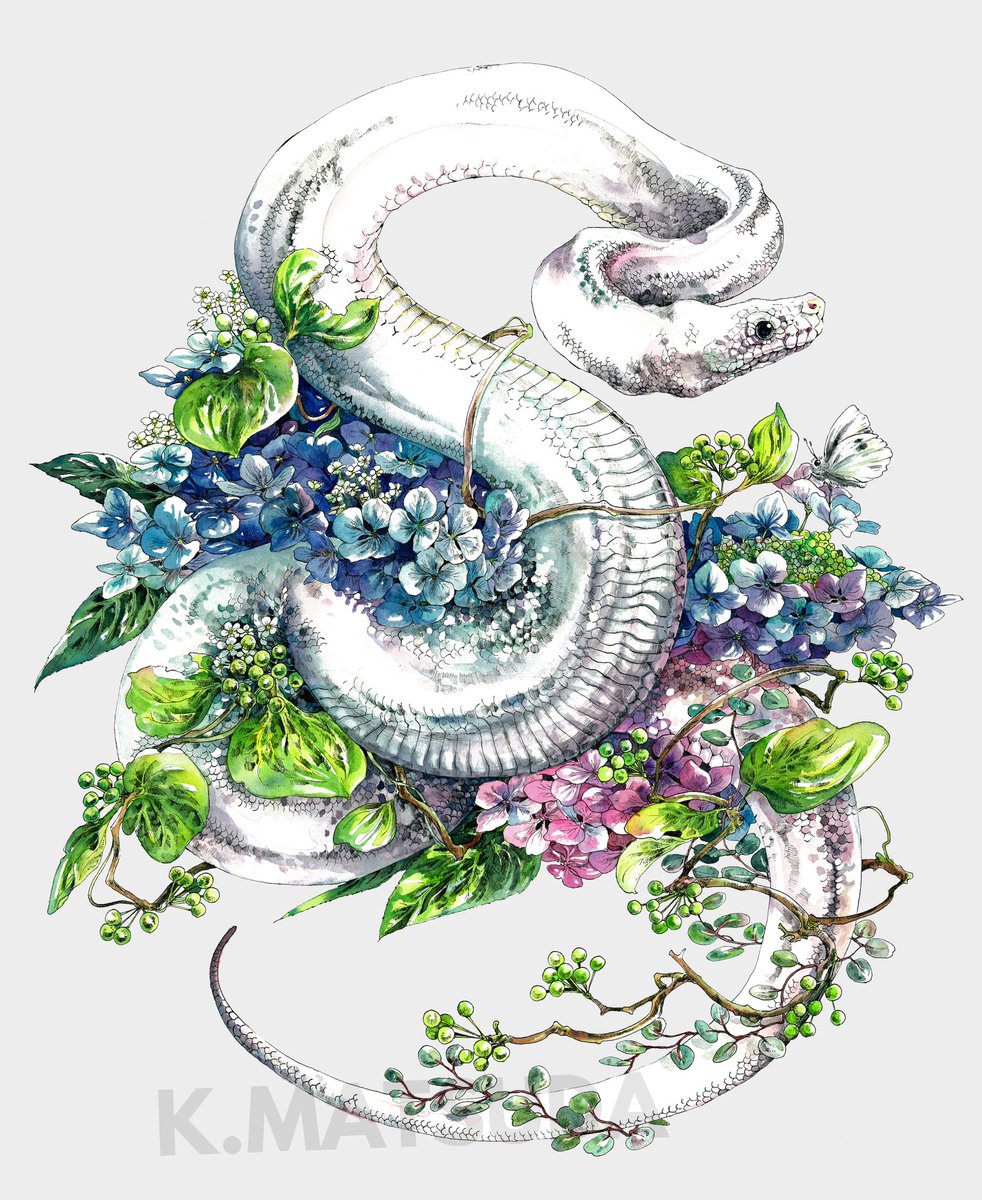 「#この7文字を見ただけで心ときめく人がRTしてくれる

はなといきもの 」|Keso Artのイラスト