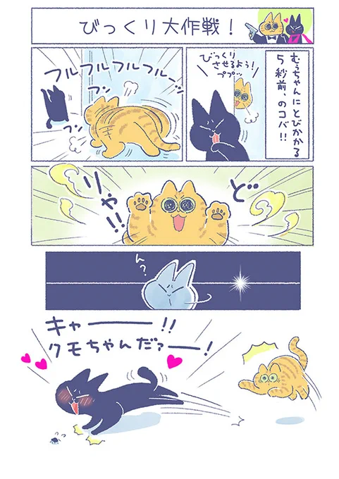 「びっくり大作戦!」

失敗をリセットするために(?)
念入りにグルーミングする姿、
完全に親目線で見守ってしまいます(*'∀`)

(吉濱あさこさんの「イチャ猫」)更新!⇒https://t.co/8CvjxDv36w

#イチャ猫 