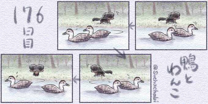 176日目 鴨とわんこ
#四コマ #漫画が読めるハッシュタグ 