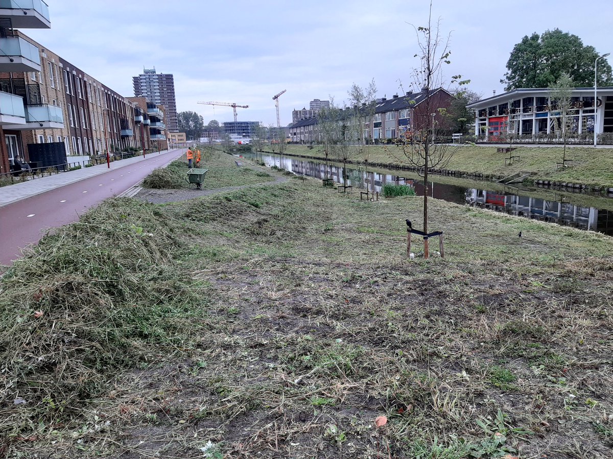 Aannemer is gestart met het maaiwerk aan het Beatrijspad. Later volgt het plant- en maaiwerk om deze strook in te richten als vlinder en bijen idylle. <a href="/ZoetermBEHEER/">Reinier Gillissen</a> <a href="/ariecees/">Arie Cees de Jong</a> <a href="/Stadsbioloog079/">Stadsbioloog079</a> <a href="/JakobienGroen/">Jakobien Groeneveld</a> @indebuurtztmeer