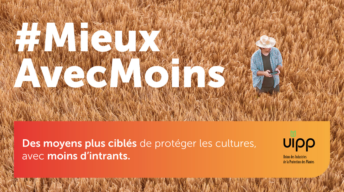 sieclevert's tweet image. Pour produire + une #nourriture de manière #durable et respectueuse de l'#environnement nous encourageons la #transformationnumérique. Les nouvelles solutions ciblées joueront un rôle pour la protection des #cultures, avec - d'intrants. #MieuxAvecMoins #Innovation #MoreWithLess