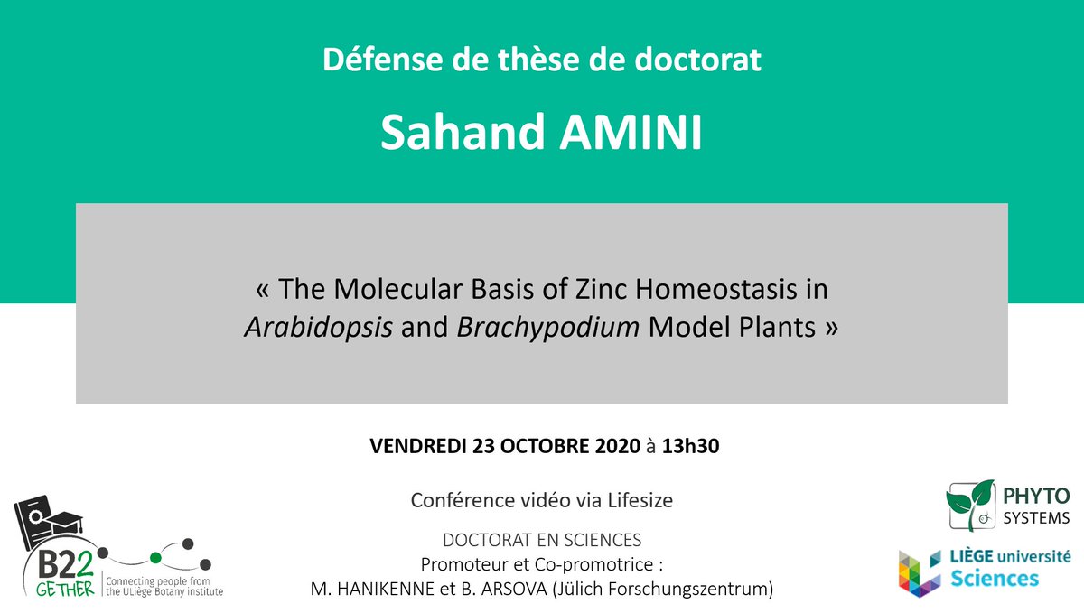 B22Gether's tweet photo. Next thesis from one #PhDstudent of the Botany building!

« The Molecular Basis of Zinc #Homeostasis in #Arabidopsis and #Brachypodium Model Plants »

Friday the 23rd October! https://t.co/e59E32FBld
