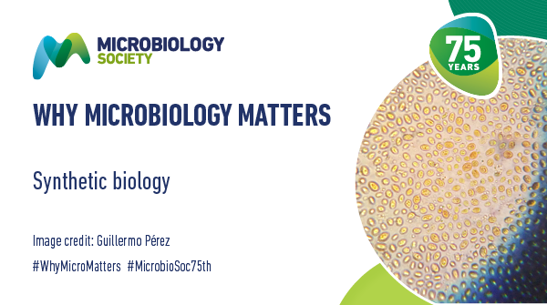 MicrobioSoc's tweet photo. The relative ease with which microbes can be manipulated has enabled the development of new technologies that can be applied to the study of life sciences. Discover more about #synthetic biology today. https://t.co/EhtFeic6k4 #WhyMicroMatters https://t.co/al243Cr20b