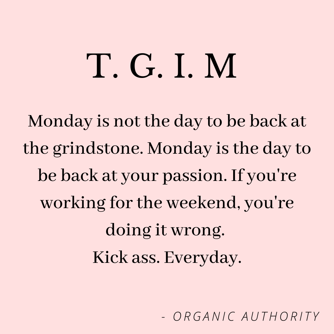 TheWise_Bee's tweet photo. 🦩 Happy Monday 🦩
We hope you had a great weekend &amp; made loads of beautiful memories to look back on.
#MondayMotivation #SlayAllDay #CapeTown #OnlineAdvertising #SupportLocalBusinesses #GetDiscovered #GrowYourBusiness
#ContentCreator #SocialMediaManager
 #PageManager #TheWiseBee https://t.co/1Y932xYMDW