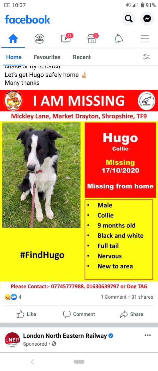 claireacluck's tweet photo. Can you lovely people please share ❤️🙏 https://t.co/xE0dcsvSZH