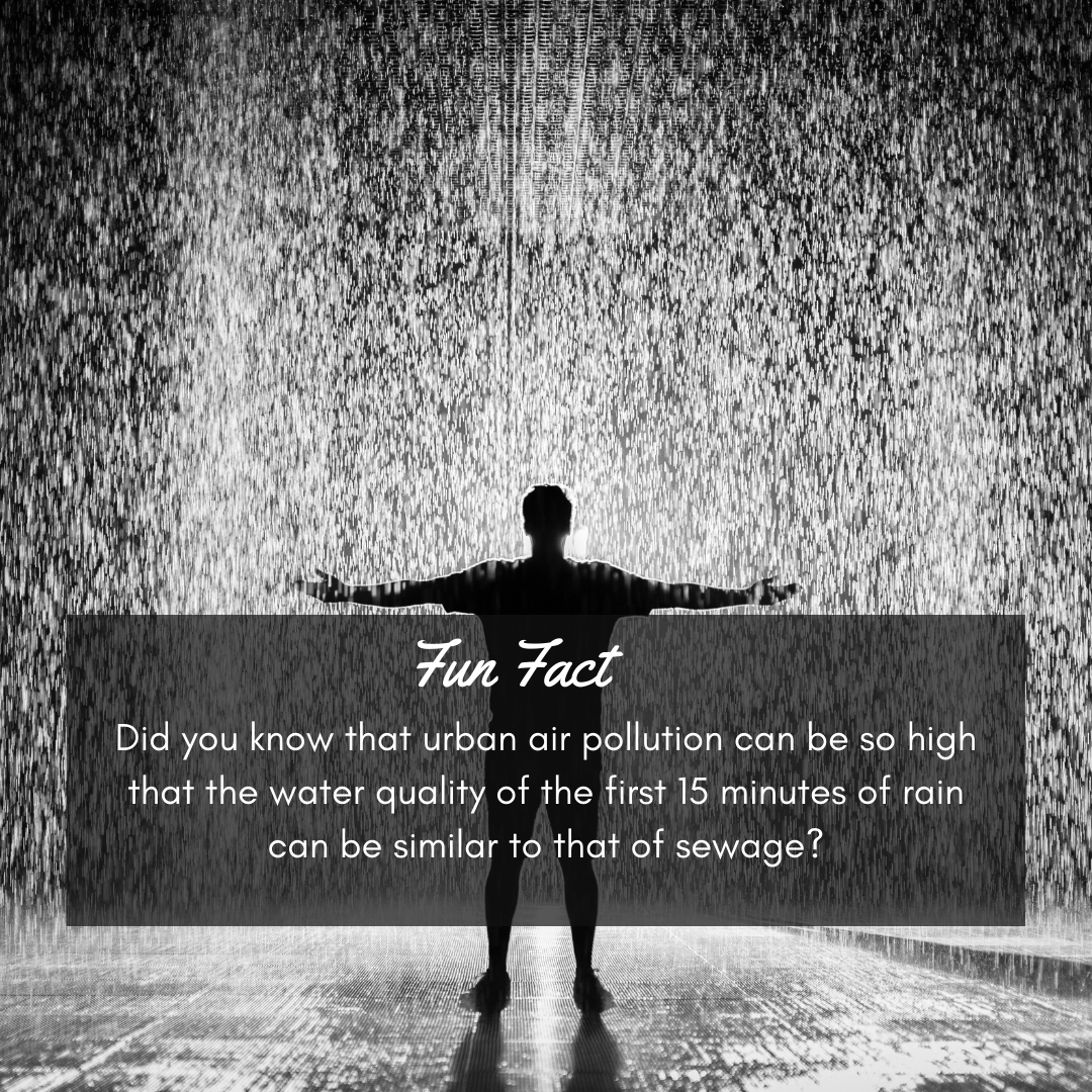 The purification process of Bluebloqs allows us to capture, purify, and reuse all the rainwater. Follow us to learn more.
circularwatersystems.eu

#nbs #watermanagement #bluebloqs #climatechange #smartcities #climatekic #sustainability #resiliency