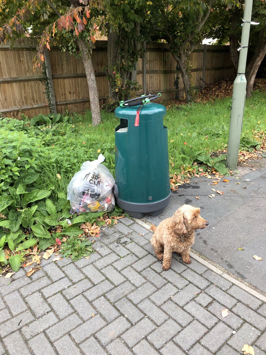 Winnie and I did a quick litter pick around #ElmGrove #WaltonOnThames this morning. Soo many NOS canisters, sweet wrappers and loads of smashed glass. #NoEnforcement @KeepBritainTidy @ElmbridgeBC @ElmbridgeEcoHub @surreyep @WPLSurrey @RubbishSurrey @uk_surrey https://t.co/CAYTfxbWzH