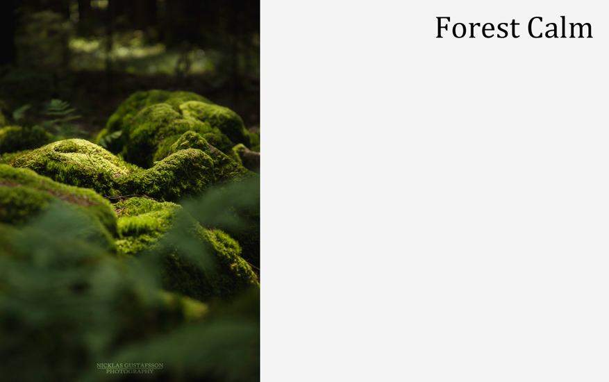 Forest Calm

Light hitting some mossy green rocks that was once and old stone wall, now taken over by the lush #forest.

@FineArtAmerica ; bit.ly/FAA_Nature
@redbubble ; bit.ly/RB_NG
@society6 ; bit.ly/S6_Nature

#forestart #photoart #wallart #artprint