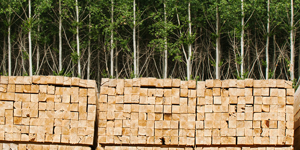 RSC_EiC's tweet photo. Get your 11β14 students considering the pros and cons of biofuels and biomass with this article and downloadable resources
#teachingtips #scied #chemed
https://t.co/SlF3Ye3WIz https://t.co/4hCtm4UdWM