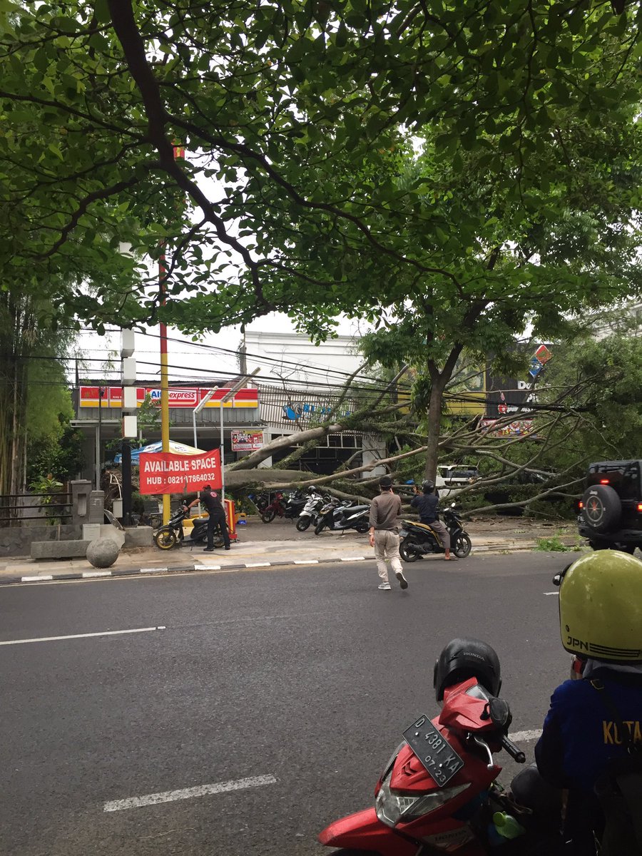 Aurora257's tweet photo. Depan sumeragi, jl. Riau. Kondisi tak ada angin tak ada hujan. Tetiba pohon tumbang. Menimpa bbrp kendaraan. Semoga tdk ada yg terluka #infobdg https://t.co/9Ol7DJ9fnH