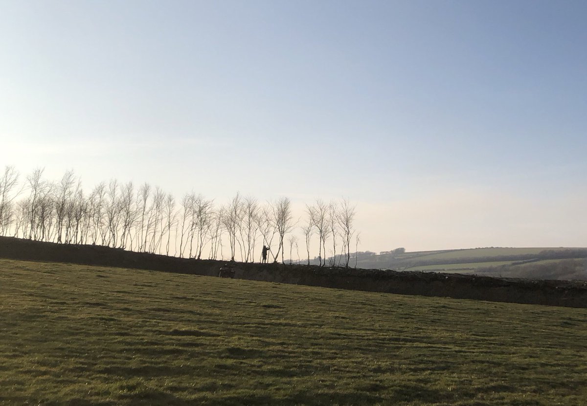 newlandfarm's tweet photo. Happy Birthday, Exmoor National Park #ExmoorDay #66thBirthday #FarmingDeliversExmoor #DarkSkies #ExmoorEveryday #Commoners #ViewToDunkery #CowCastle #Bradymoor https://t.co/SyBhBKRgv1