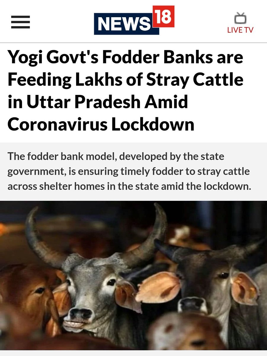 kaajalActress's tweet image. Priorities        #HungerIndex2020  

FeedsHolyCow  ForgetsHungryKids