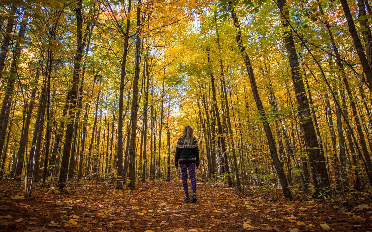 IBBtravel's tweet photo. Cute small towns, tasty eats, amazing hiking trails &amp; magical sunsets will always entice me to visit a destination but combine that with history, street art &amp; other surprises, that's what makes a spot like @clartourism so memorable! 
https://t.co/KSdawYViur
#Ontario #Travel https://t.co/0AxyN1U7Tt