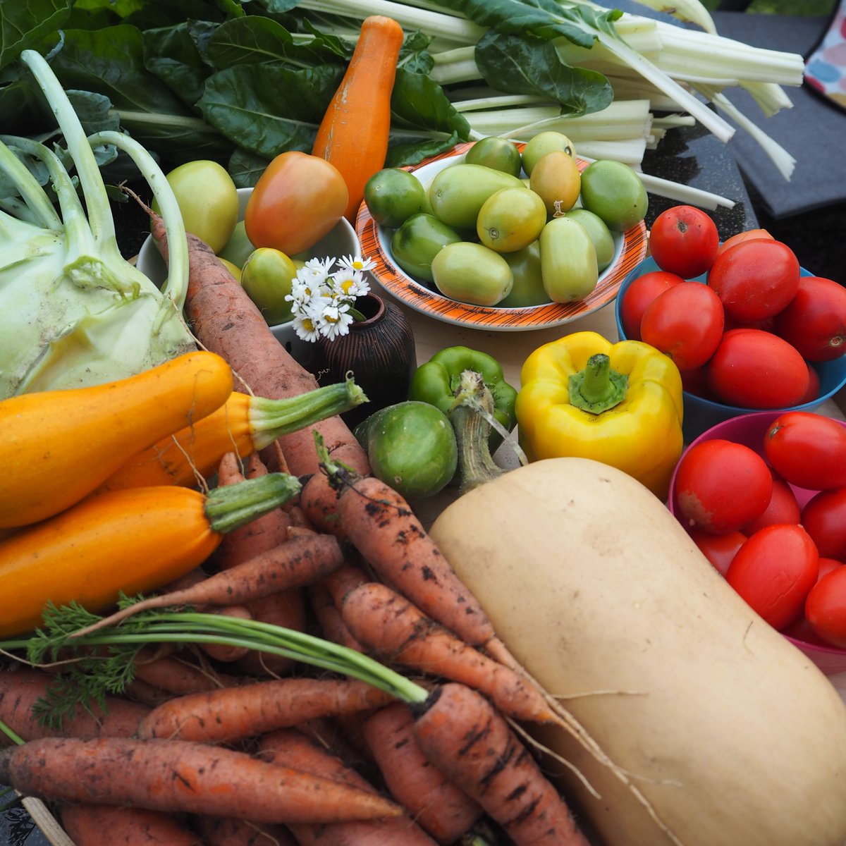 Die letzte zwei Monate waren so voll mit Arbeit, dass ich es keine Sekunde in den Garten geschafft habe. Und so dankt er es einem dann! #erntedank #farbenfroh #lecker