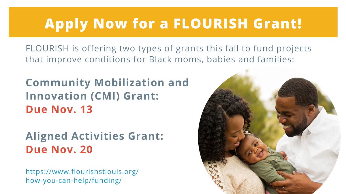 Apply now for an Aligned Activities or CMI grant! Details about both opportunities are in our latest blog post: flourishstlouis.org/apply-now-for-…