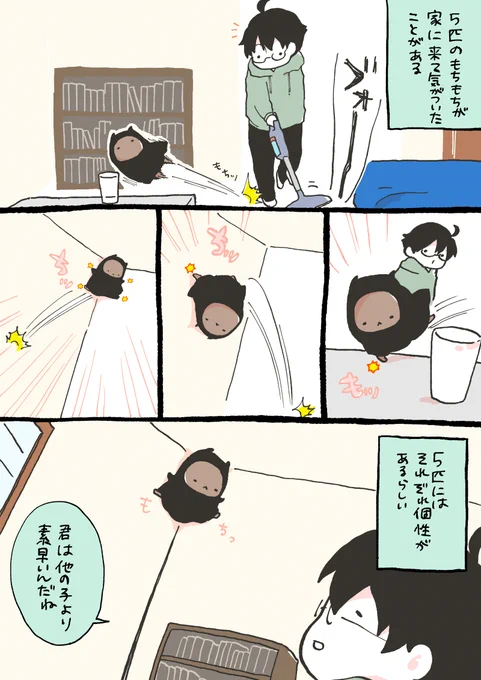 【創作漫画】もちもちの嫁さがし個性ある5匹 #もち嫁 