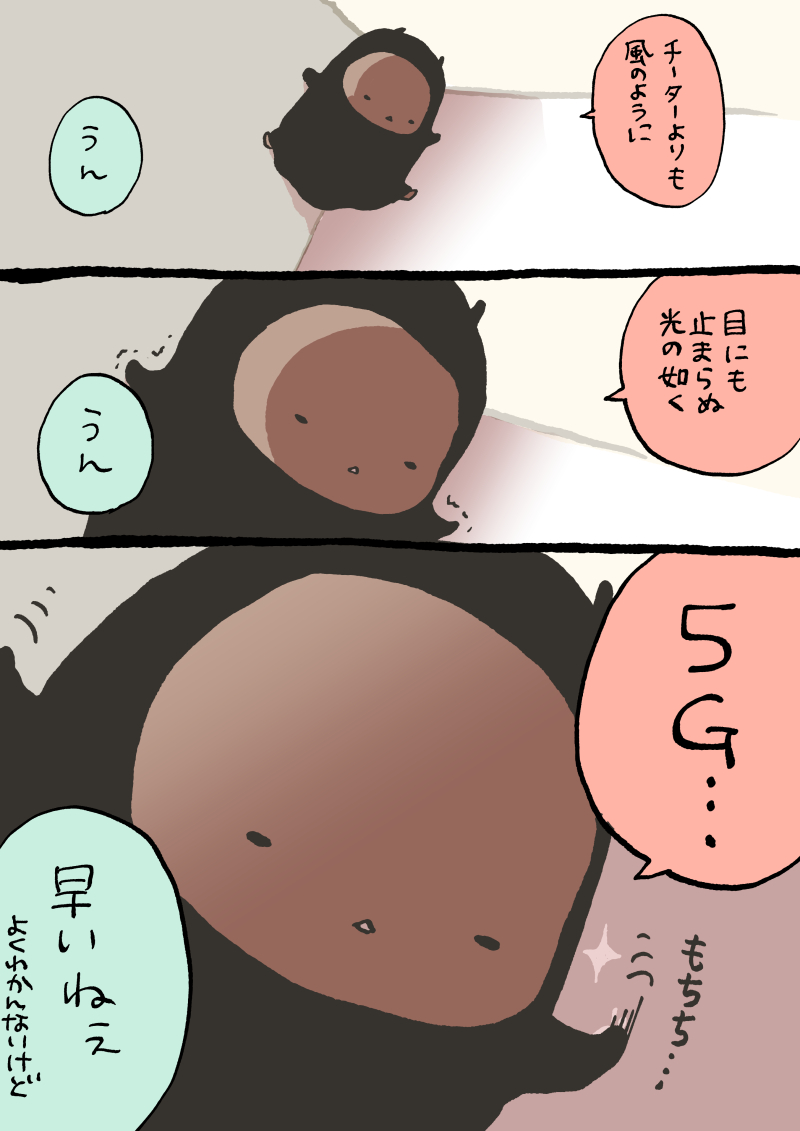 【創作漫画】もちもちの嫁さがし
個性ある5匹 #もち嫁 