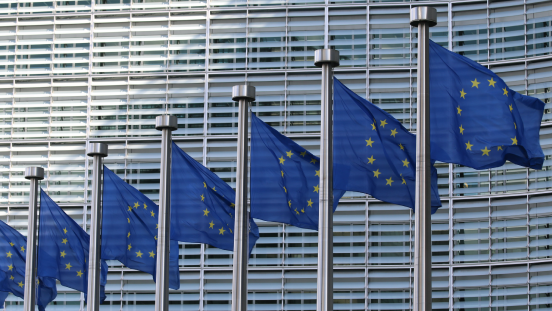 The <a href="/EU_Commission/">European Commission</a> has set maximum limits for 3-MCPD and glycidyl esters in fish oil, infant formula, baby food and food for special medical purposes.  ow.ly/bL9P50BUVRT

#omega3 #nutrition #foodproduction #regulatoryaffairs