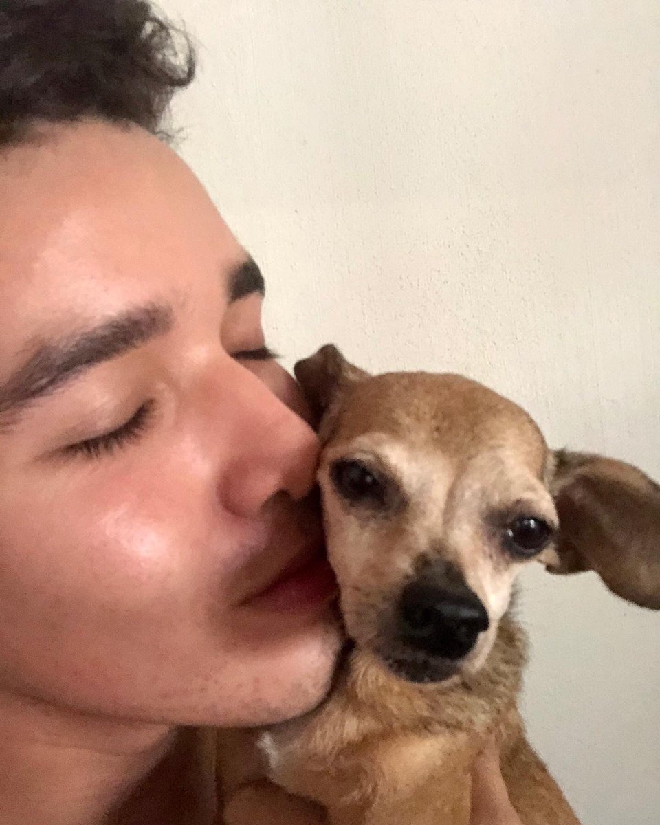 Te amare para toda mi vida mi hermosa Lassi ❤️❤️❤️ me harás mucha falta 🥺 dejas un gran vacío en mi corazón 💔 no tengo palabras para expresar la tristeza que siento en este momento 😔 vivirás siempre en mi corazón 💖😇 #mydog #sad #iloveyou #inmyheart 🥰🙏🏻 TE AMO 😩❤️ https://t.co/TM7Xw41s03