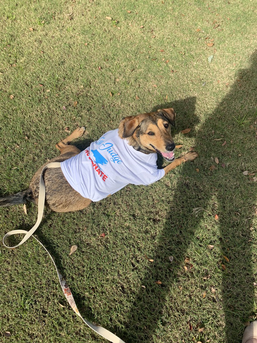 State’s cutest poll greeter reporting for duty
