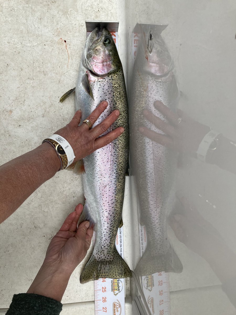 SportFishGuide tweet picture