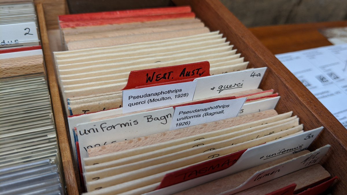 Digitising the NHM tweet media