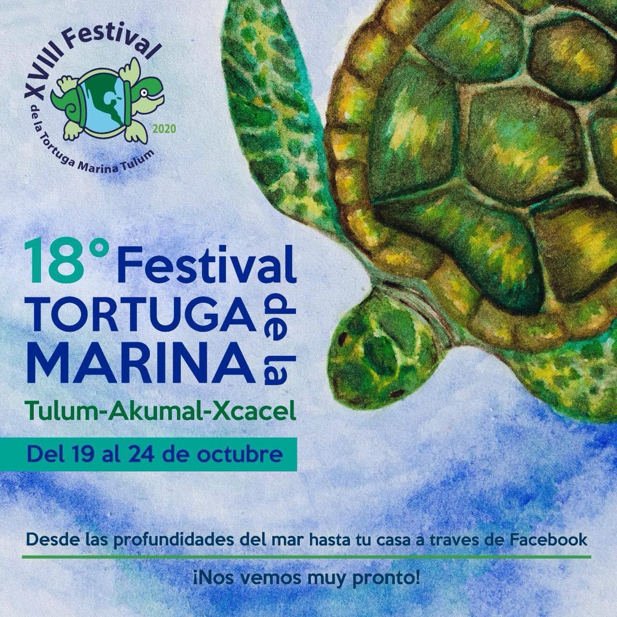 RProplayas's tweet photo. 📢Hoy inicia el 18 Festival de la Tortuga Marina en #Tulum - #Akumal - #Xcacel 🐢🇲🇽
Tradicional celebración de fin de temporada de anidación de🐢marinas en nuestras🏖️
¡Programate!
📅19-24.10.2020
+ℹ️ https://t.co/7waaNAccXI
#QuintanaRoo #Mexico #TURTLE #conservation #RedProplayas https://t.co/5aKhu7rDNz