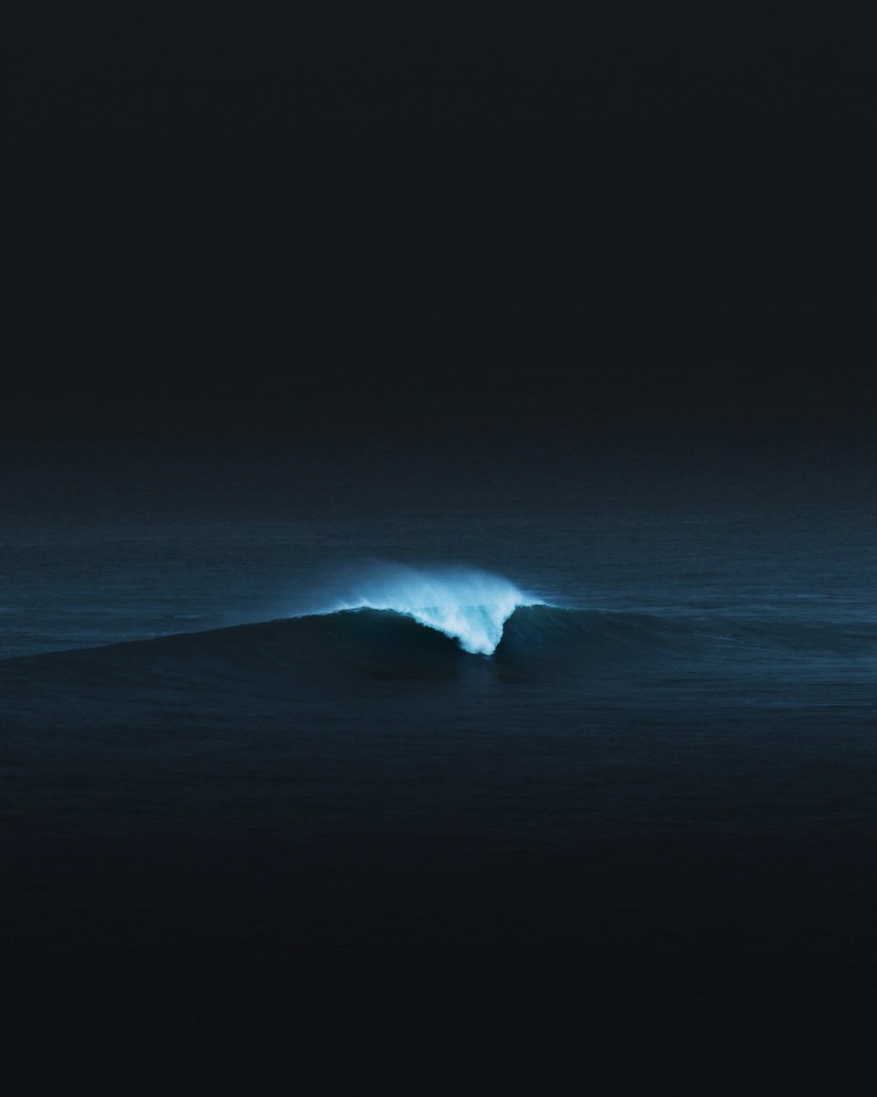 platouxx's tweet photo. Ocean lover https://t.co/p7A8PEnw97
