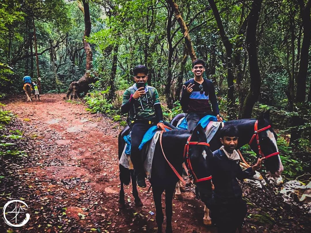 WeStayOnRoad's tweet photo. banjareonroad #matheran #louisapoint #maharashtra_desha #maharashtra_ig
#travelinfluencer
#ecopoint #soi
#sahyadri #westernghats
#trek
#indiantravellers
#indiantrekkers
#indianbloggercommunity
#indiantravelblogger
#BanjareOnRoad
#ChhoriiOnRoad
#ChhoraOnRoad
#ClicksOnRoad https://t.co/sO1AiIrq7h