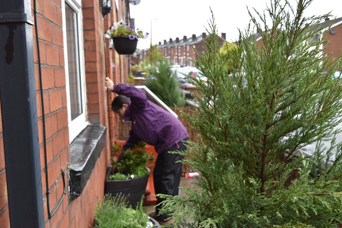 In 2016, we started an experiment to see if adding plants to bare & messy front gardens could improve residents' wellbeingFlowers are pretty (we went for pretty purples ones) so I was sure people would like it but I didn't expect physiological indicators of stress to change 1/