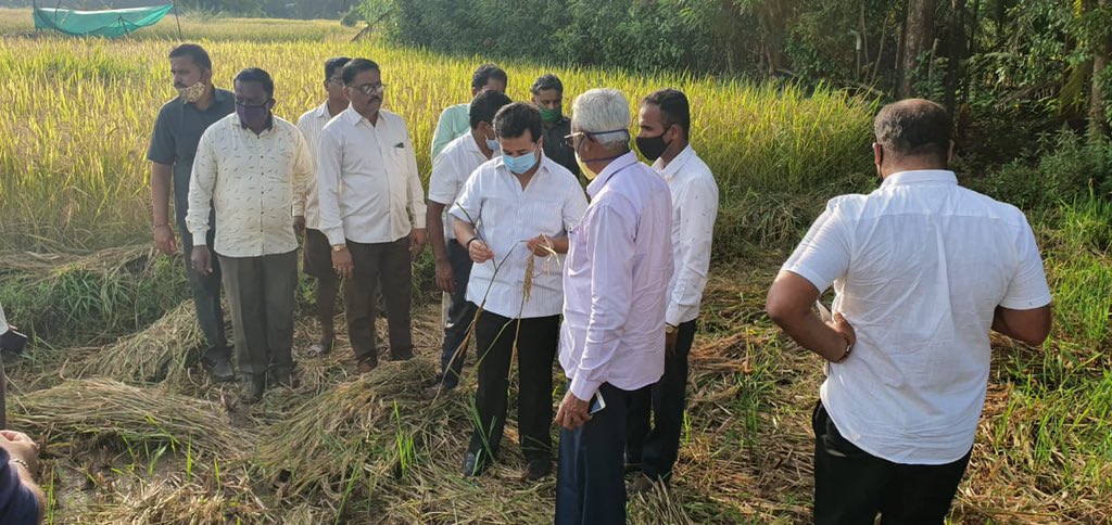 NiteshNRane's tweet photo. Panchnamas bein done by this MVA gov r meaningless becz the criteria is different 4 every region so the ones who really need the help will never get it!
Rice crop is completely finished so the Gov shud immediately declare 50k per hectare n ensure it reached the right farmers! https://t.co/A59waao6IO
