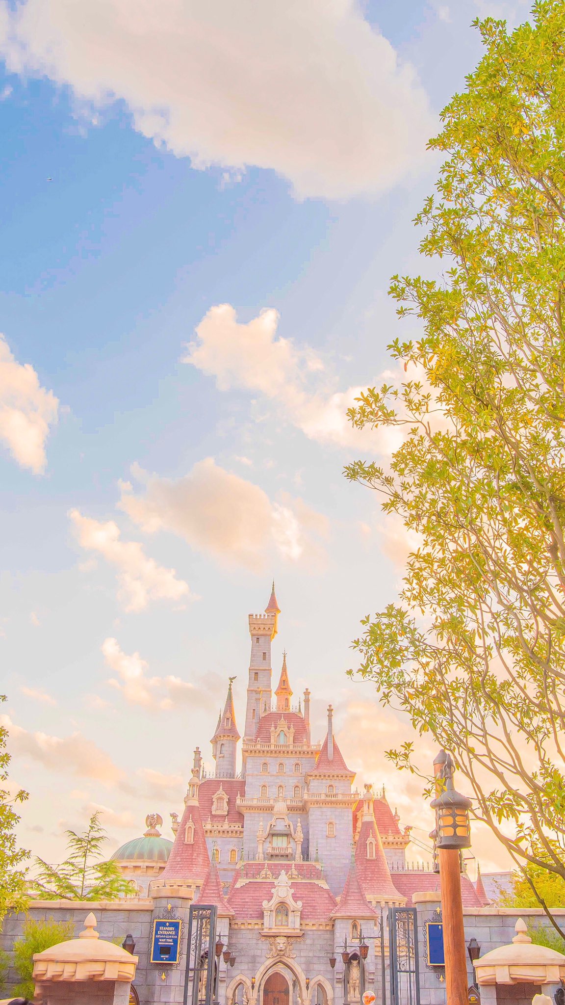 よ D垢 Disney Mfje Twitter