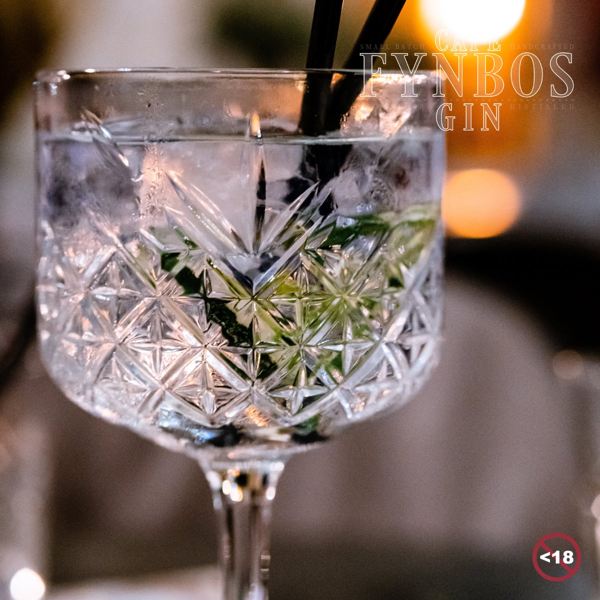 Happy International Gin and Tonic day! Celebrate this auspicious occasion with a bottle of Cape Fynbos Gin and one of our delicious cordials! #CapeFynbosGin
