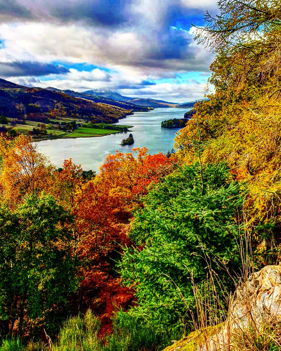 Theataccounts tweet media