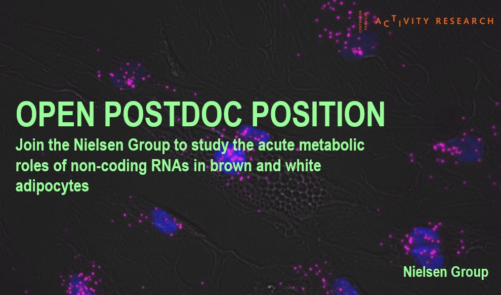 Are you interested in non-coding RNAs, organelle crosstalk and brown fat? Are you looking for a post-doc position in a city of biking, microbreweries and coastlines, known for having the happiest people in the world? We are hiring! bit.ly/3kepkjH  nielsen-rnagroup.com