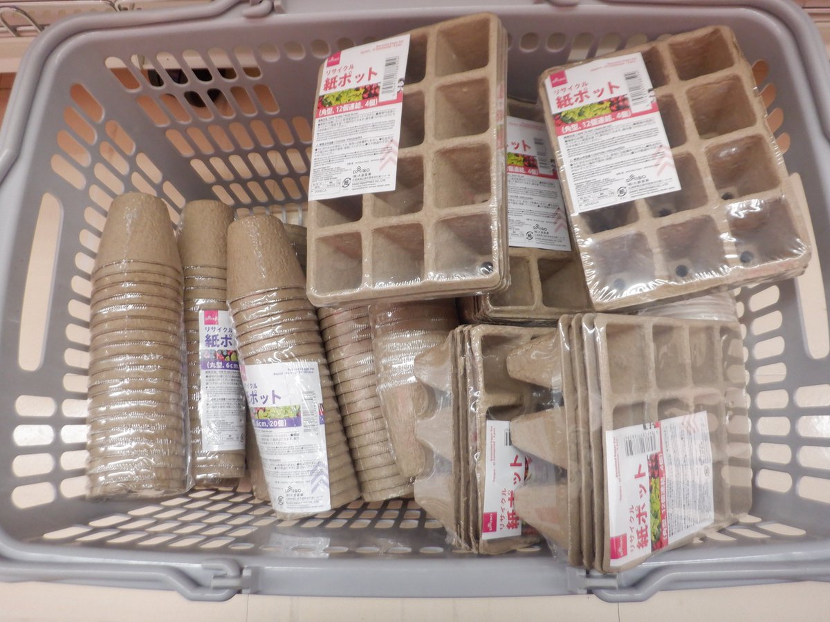 うさ 10 19 熊野のダイソーで紙ポット見つけたので大量買い 少し大きめのポット もあったけど小さい方だけにしました 不織布も欲しかったけど入手できず ここのダイソーは最近リニューアルして大きくなったんだけど 何故か野菜の種は置かなくなっ