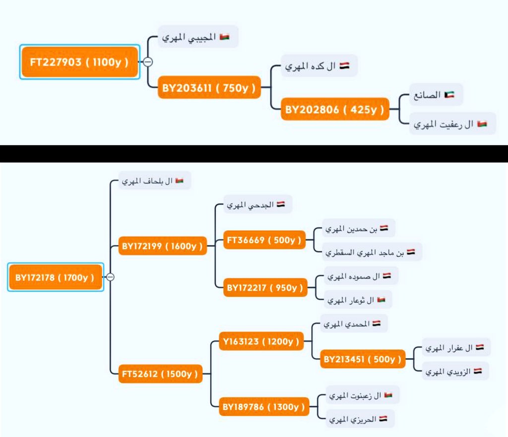 Mahra_DNA's tweet photo. يسرنا ان نعلن عن ظهور ٣ إلتقاءات لأبناء المهره تحت BY111 متوافقه مع الموروث وهي:

١- صار (صعر) J-FT227903 ١١٠٠س
• المجاوب (طولع)
• بيت حميد (رعفيت - كده) J-BY203611 ٧٥٠س

٢- (الشراوح والشحاشح وبلحاف) J-BY172178 ١٧٠٠س
• الشراوح J-BY172199 ١٦٠٠س
• الشحاشح J-FT52612 ١٥٠٠س https://t.co/elZ5DMgEBa