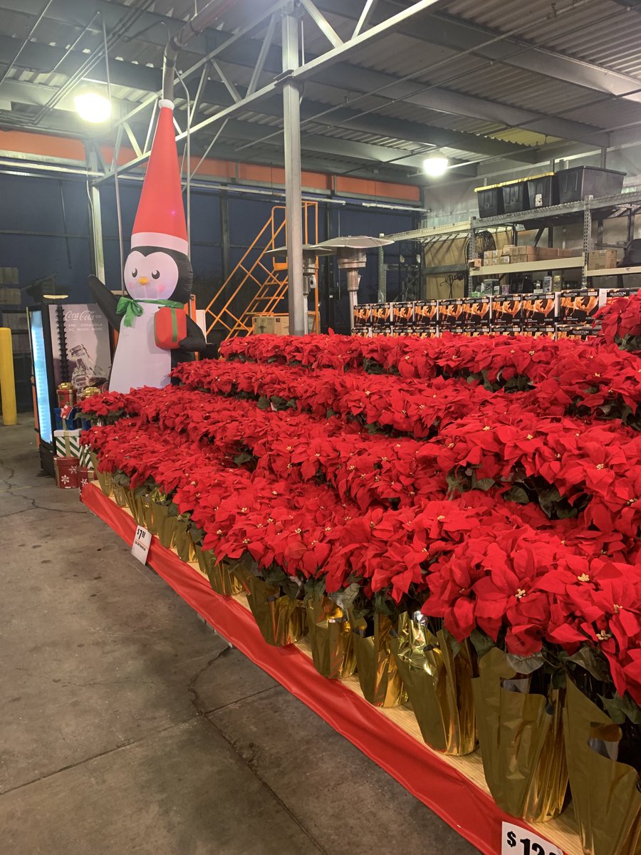 Now that makes a statement! Bring on the Christmas music #team2915 #herecomessanta ⁦<a href="/ChrisDurand_HD/">Chris Durand</a>⁩ ⁦<a href="/HDDistrict132/">Home Depot D132</a>⁩