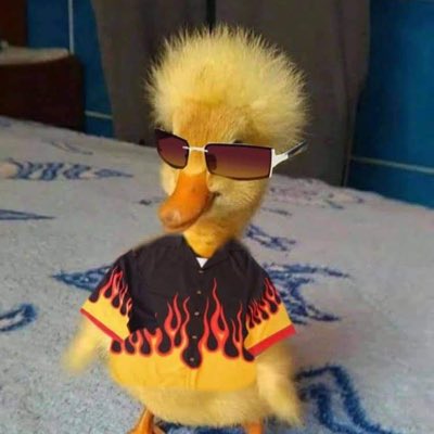 parkmeter's tweet image. #NewProfilePic