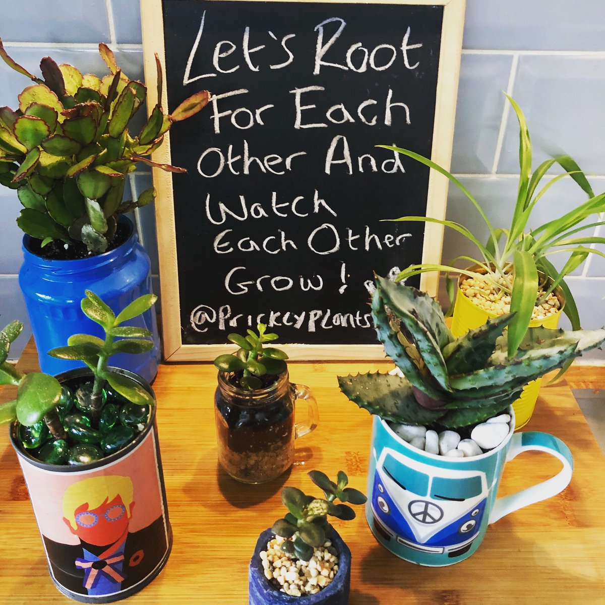 prickly_plants's tweet photo. A little bit of Monday Motivation from Prickly Plants!
🌵
We hope everyone’s doing ok in these crazy times 💚
🌵
#mondaymotivation #pricklyplants #plants #plantobsessed #plantsofinstagram #houseplansofinstagram #houseplants #indoorjungle #homedecor #liverpool #plantdad https://t.co/ajMqkMiw9t