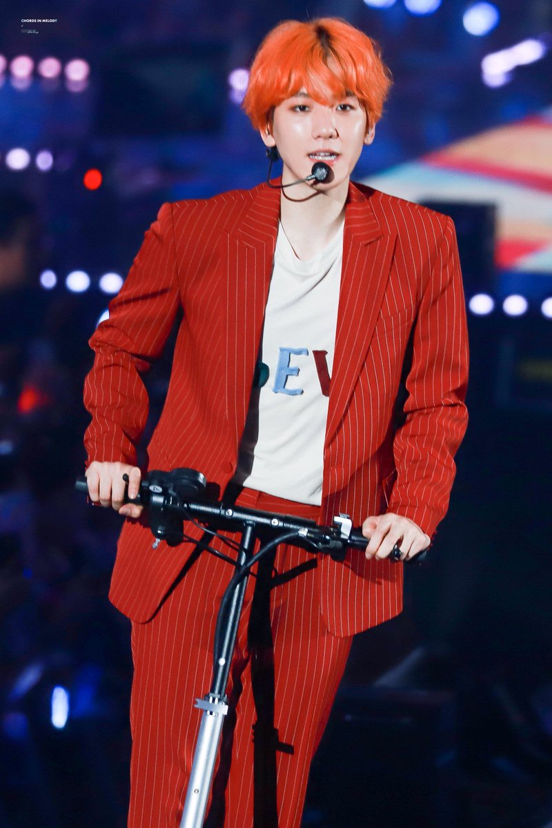 baekhyun pics 🐶 tweet media