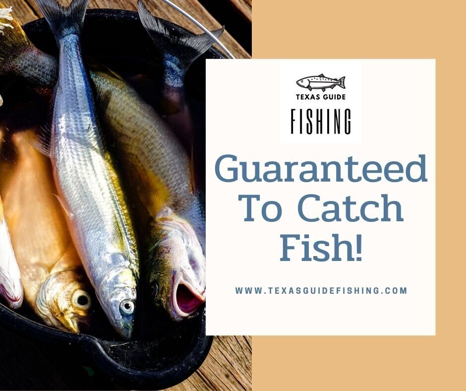 Book a 🛥️ guided fishing trip to Corpus Christi, Texas, and you are guaranteed to catch fish. 🐟 Enjoy a smooth ride to some of our favorite fishing holes. bit.ly/2RXdVZg #catch #guide #gonefishing #texas