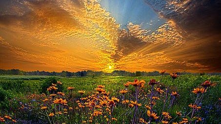 El_BibleHouse's tweet photo. Beloved brethren, how blessed are we - that we are not the children of the bondwoman anymore, but of the free woman.
For this midrash leads us into the depth and superiority of the Brit Chadashah!!
#PraiseChrist #JesusisLord #Yeshua #MosaicCovenant #NewCovenant #Theology https://t.co/Ga22eSFJj2