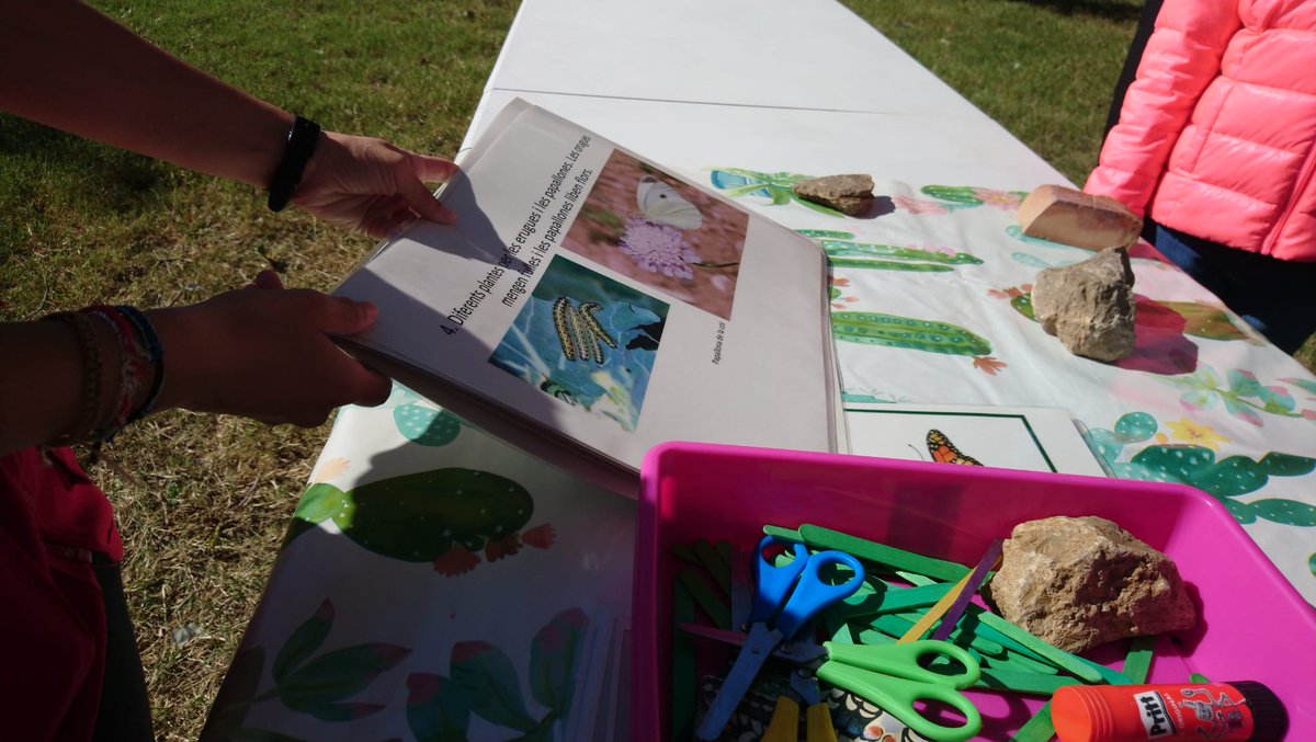Si t’agraden les papallones has de venir aquest diumenge a la #jugatecambiental, ja que descobrirem quines plantes i flors les atrauen més per construir un jardí de papallones! A més també hi haurà l’espai de joc a partir de les 11.30h.
@fundesplai_ea <a href="/JugatecaAMB/">Jugatecambiental AMB</a> @QFerACornella