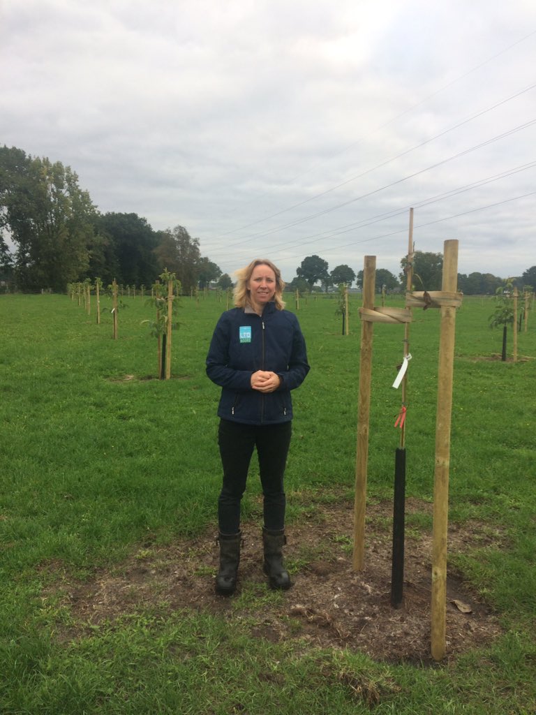 Samen met Michaela van Leeuwen van <a href="/ProjectenLTON/">Projecten LTO Noord</a> bedrijfsbezoek aan Conny van de Top in Lunteren. Zij heeft onlangs 80 walnoot bomen aangeplant in haar kippen uitloop. Mooie vorm van #agroforestry. Bomen geven bescherming voor kippen en maakt uitloop productief <a href="/ProvincieGL/">Gelderland</a>