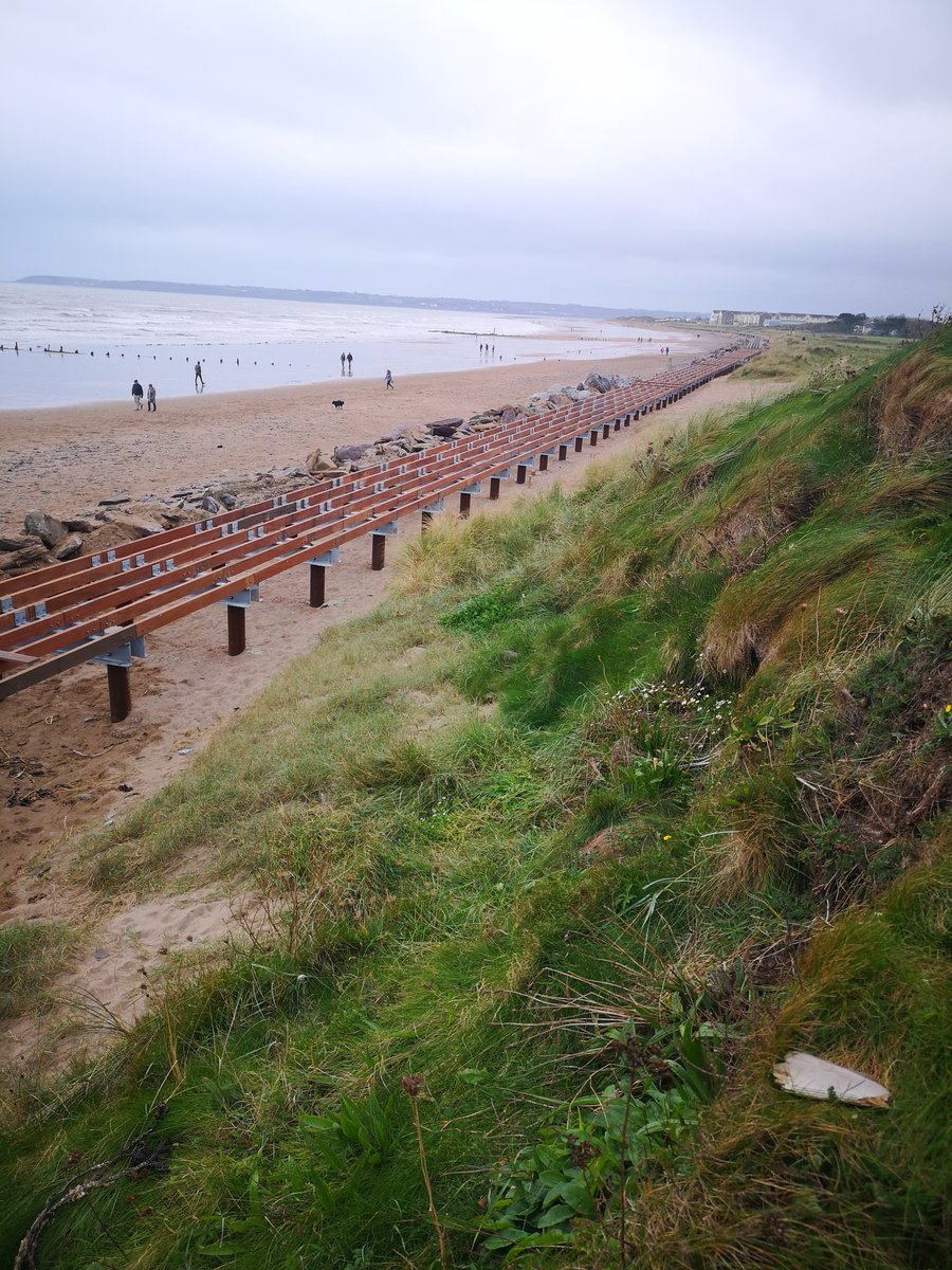 Treb_Cork's tweet photo. A little further afield than usual but here's progress of the 1.5km extension to the Youghal boardwalk, it will eventually continue to Redbarn Beach https://t.co/nB40dnwvVP
