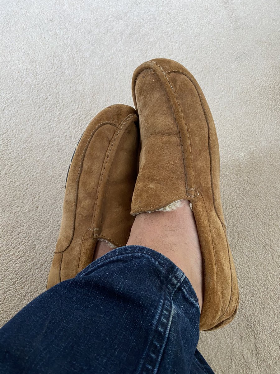 Andrew Spender tweet media