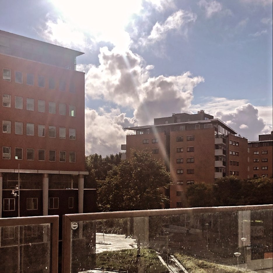 windmilladvent1's tweet image. Hello, Mr Sun! Did you know that we missed you? 😄