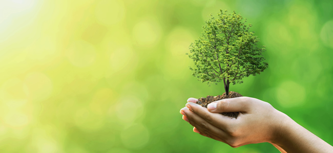 When asking, do you need #prepaidfuneralplans, you need to think what is best for you and your family and how the financial burden of the cost of your #funeral may affect them in the future - arthurpeakefunerals.co.uk/do-you-need-pr… #FuneralPlans #FuneralPlanning