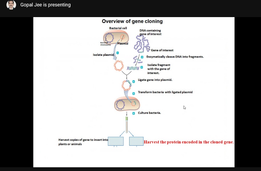 Sci_community_'s tweet photo. We hosted a Webinar on "Strategy for Recombinant protein production in E.coli Host" that was hugely successful✨

We had 550+ participants ! The host talked on Expression vectors, Cloning strategies &amp; troubleshooting methods. The audience actively took part in the discussion. https://t.co/B32iYpLfVS